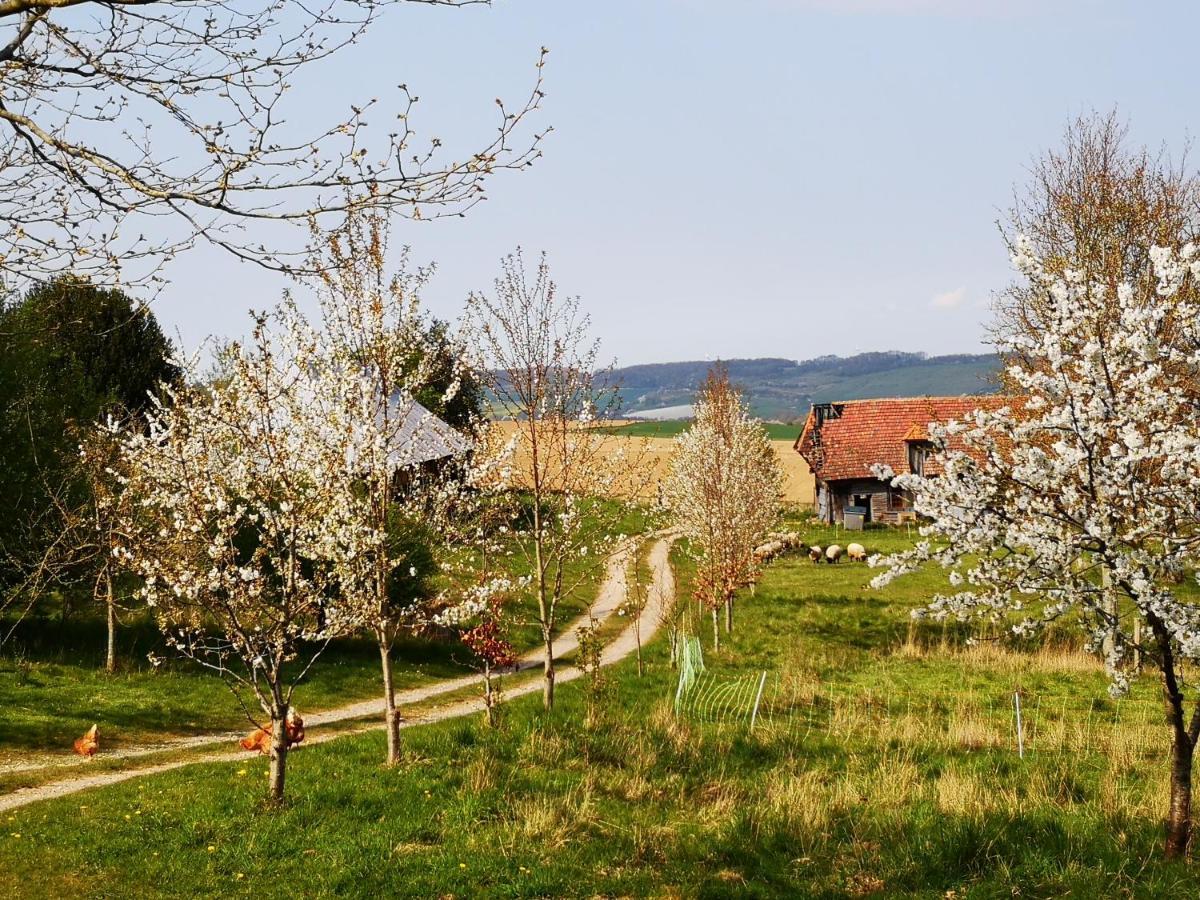 Nature Monchy Campneuseville Buitenkant foto