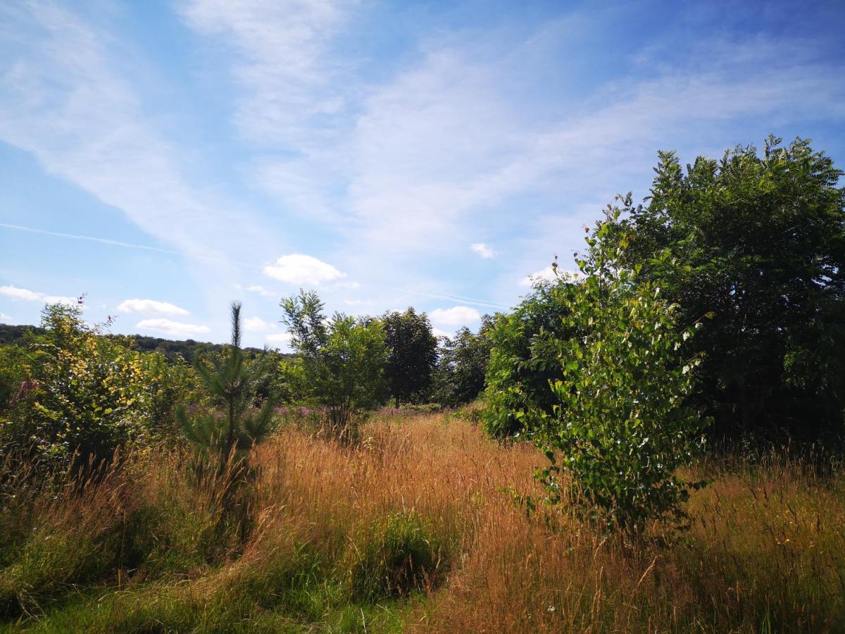 Nature Monchy Campneuseville Buitenkant foto